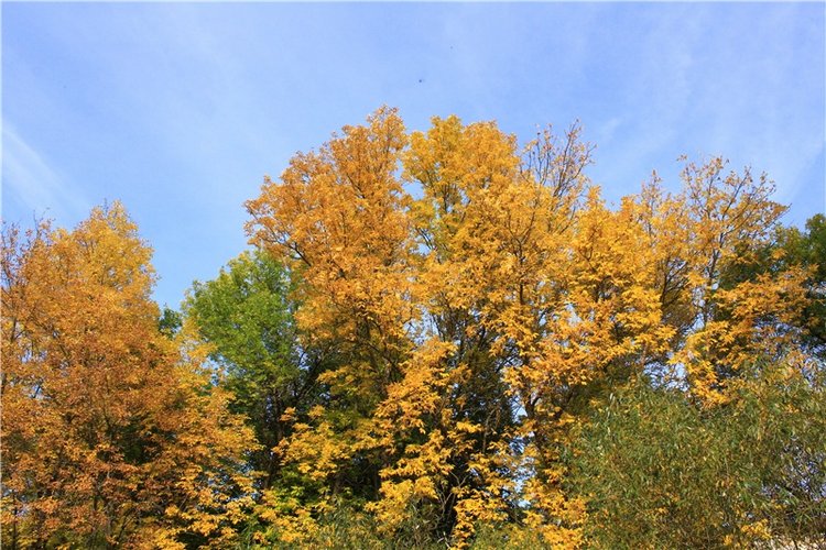 Путешествие Dal Hangry в Грузины