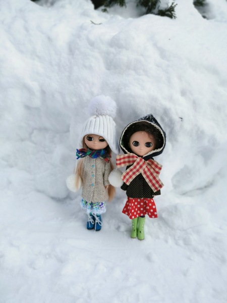 Неподражаемые Муф — Азиатские виниловые куклы (разное): Китай (фото 4)