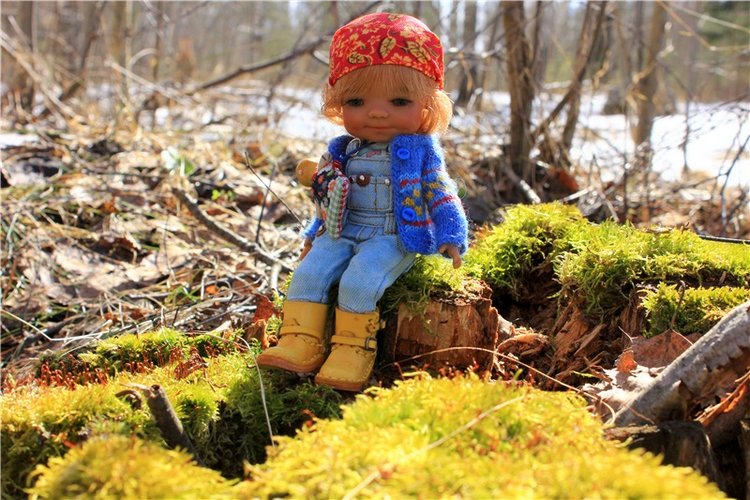 Весна в "Саду Камней" | Бэйбики Весна в "Саду Камней" — Куклы Meadow dolls (Медовушки): BJD (БЖД)
