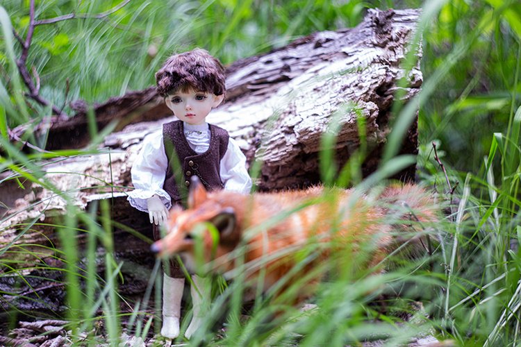 Сказки Волшебного Леса. Часть 1