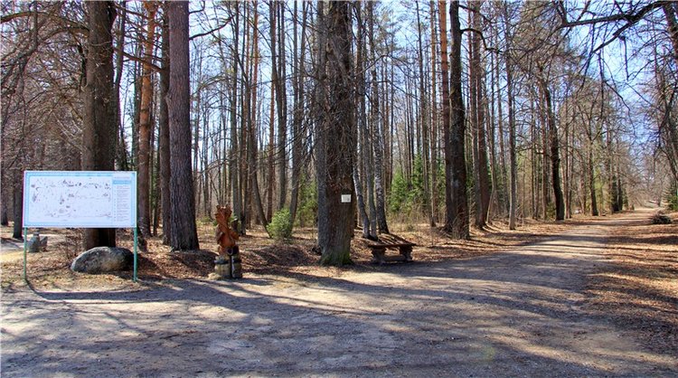 Апрельский день в Василёво (фото 3)