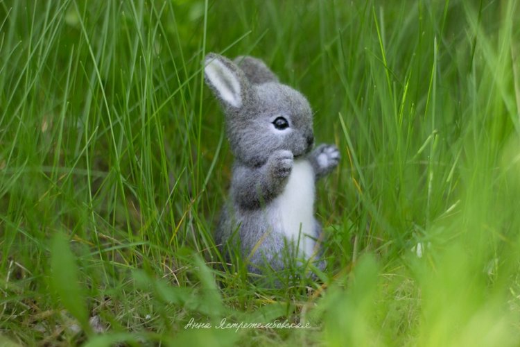 Заинька — Валяные игрушки из шерсти: сухое валяние