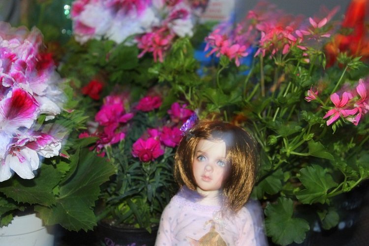 Вечерний сад. Розочка в пижамке (фото 10)