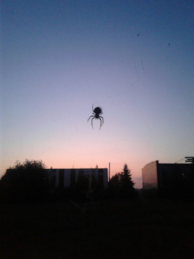 По следам ушедшего 1... Советский заброшенный стадион "Электрон". Часть 1