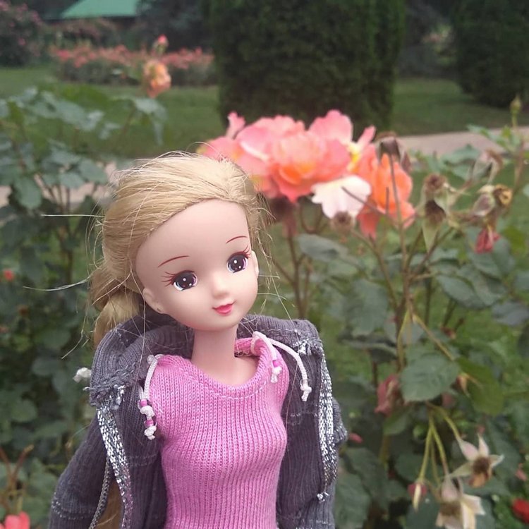 Возвращение Хелены в Кисловодск: опять за своё