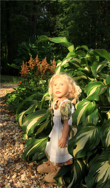 Августовская прогулка в Берново. Zwergnase Mischa