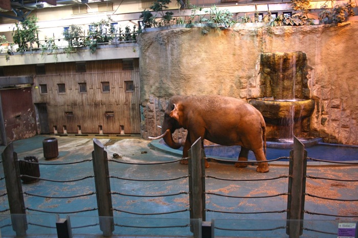 Московские каникулы. Часть 1