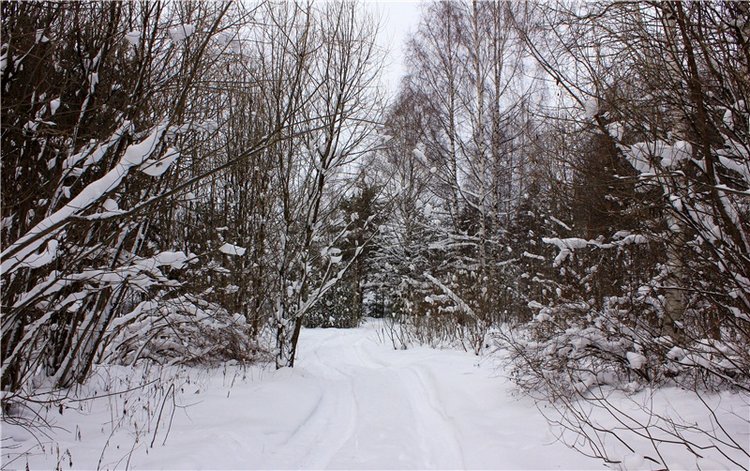 Рождественские гуляния, часть вторая. Zwergnase Mischa