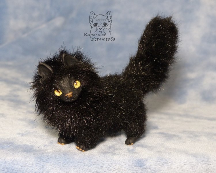 Кот породы Мейн-ку́н, черный. Я к удаче