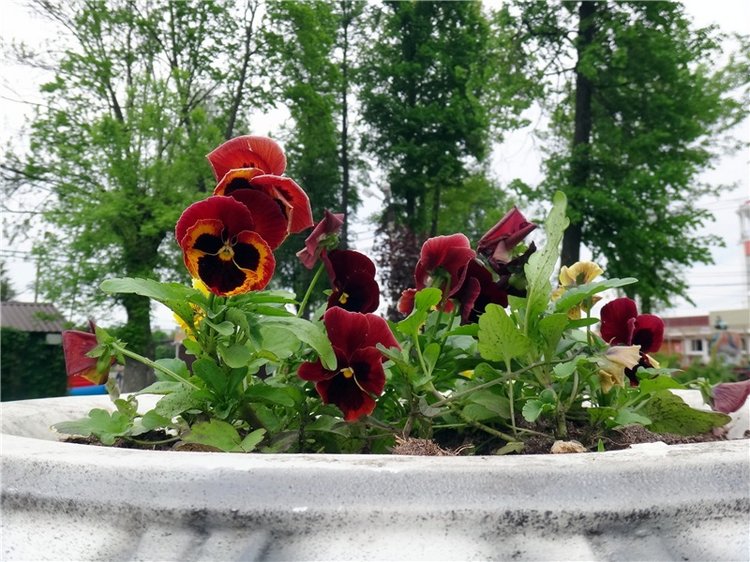 Милый мой город. Прогулка по Твери, заключительная часть