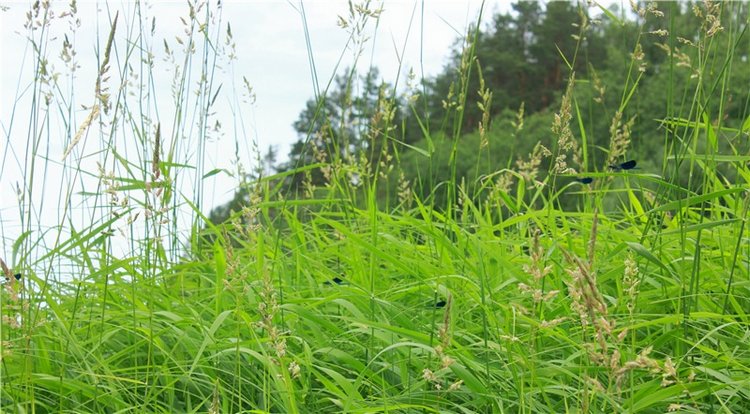 Подготовка к Конкурсу Кукольной Красоты Мисс Бэйбики 2019