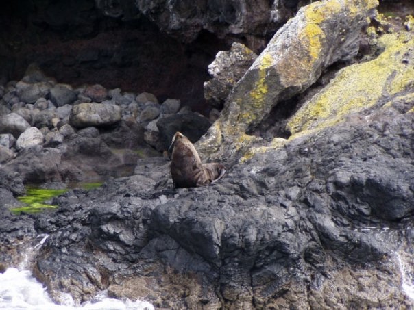 Увлекательное путешествие по Новой Зеландии