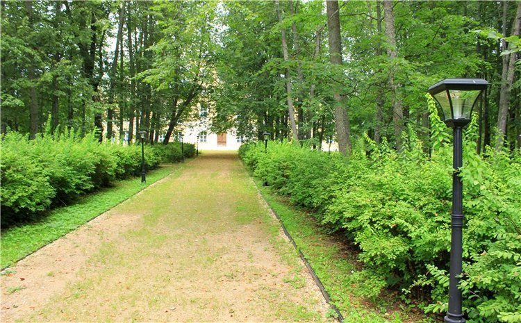 Подарок для Бенни | Бэйбики Подарок для Бенни — Куклы Iplehouse (Иплхаус): BJD (БЖД)