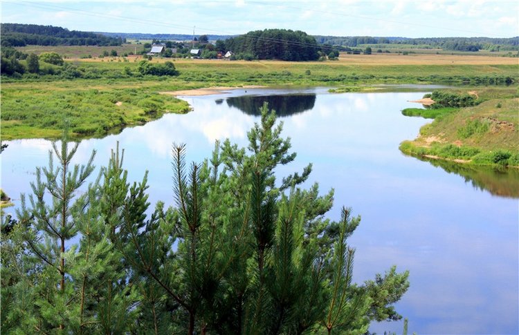 Летнее путешествие с Бенни | Бэйбики Летнее путешествие с Бенни (фото 8)