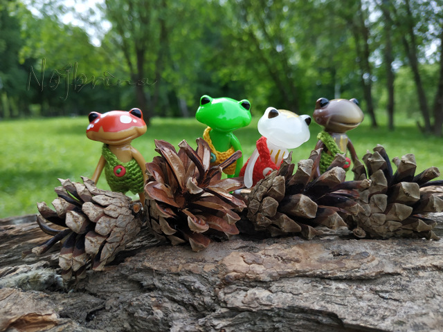 Wonderfrog. Красота в простоте