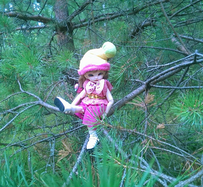 Лесные приключения... Волшебство, сосны, грибы, полетаем)