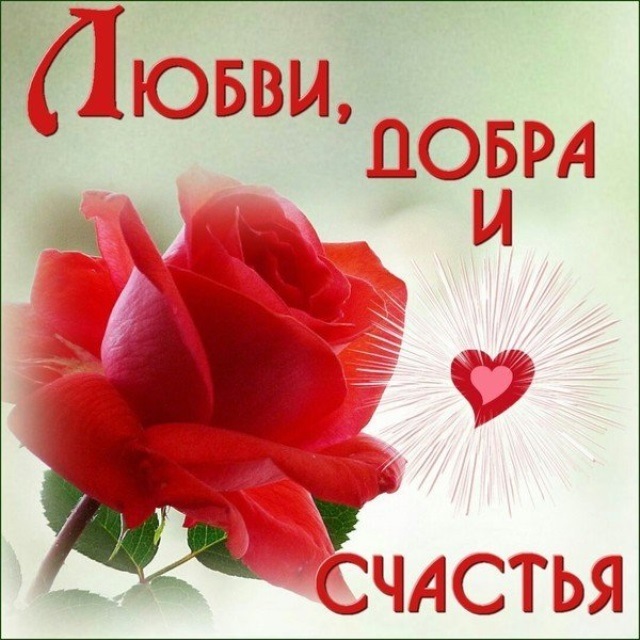 5 ЛЕТ НА БЕЙБИКАХ! Или невеста с куклами