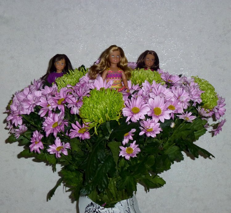 Моя новая девочка Лусиана (Luciana) от mini american girl (фото 9)