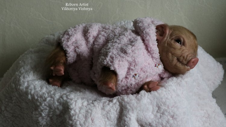 Поросенок Мила... куколка реборн Виктории Вишни