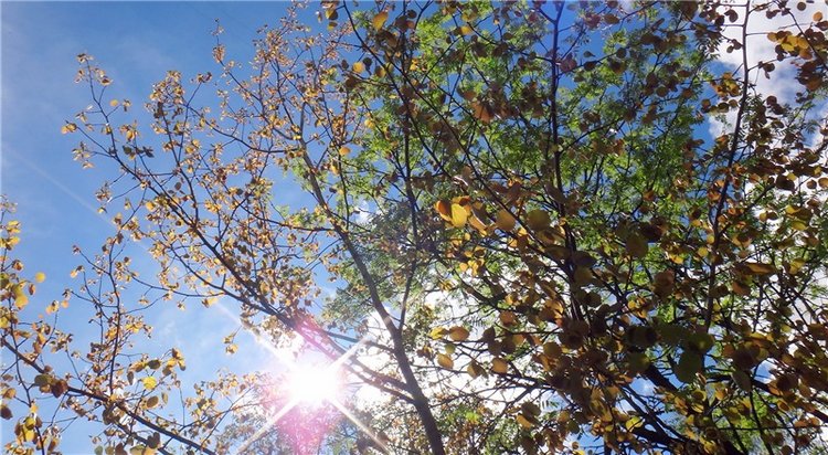 Просто Весна — Красивая природа и цветы: фото пейзажей