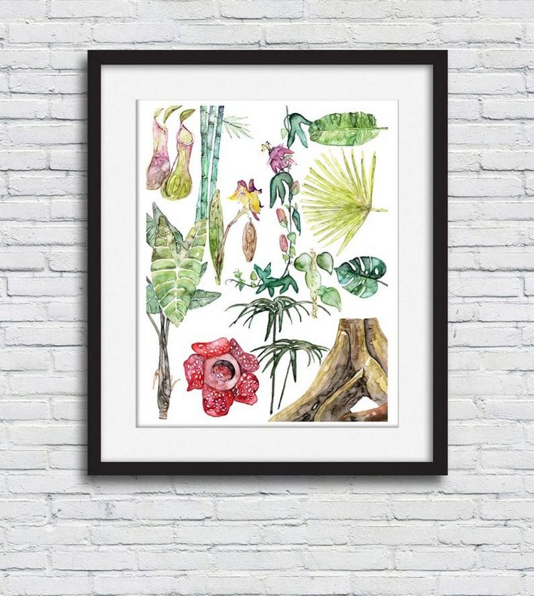 TheColorfulCatStudio - Иллюстрированная флора by Rachel Byler