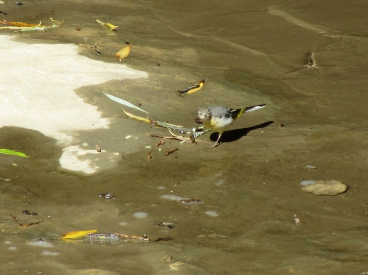 Горячее солнышко Кисловодска (фото 5)