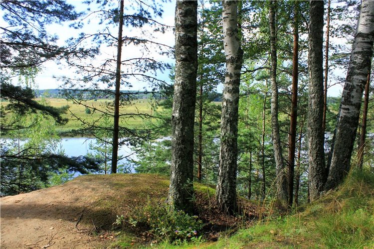 Августовское путешествие в "Сад Камней" | Бэйбики Августовское путешествие в "Сад Камней" (фото 10)