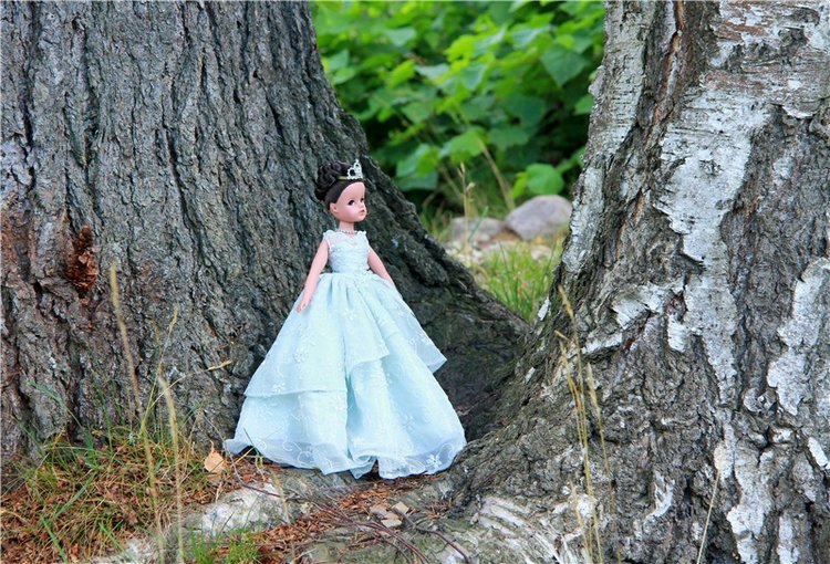 Принцессы в Райке — Куклы