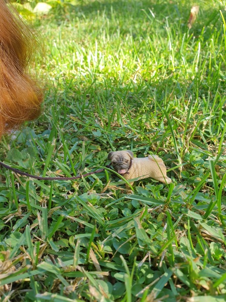 Куклы Ecpty | Бэйбики Куклы Ecpty — Коллекционные куклы разных авторов (Разное): редкие бренды