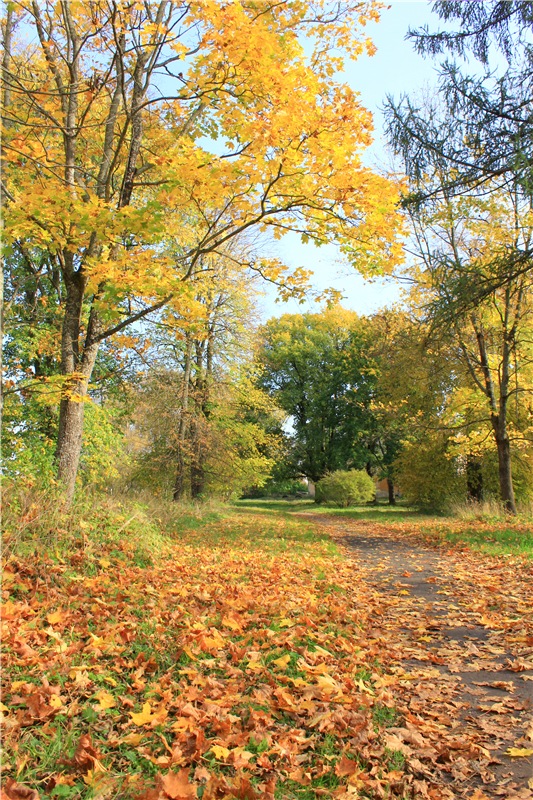 Путешествие Dal Hangry в Грузины, продолжение