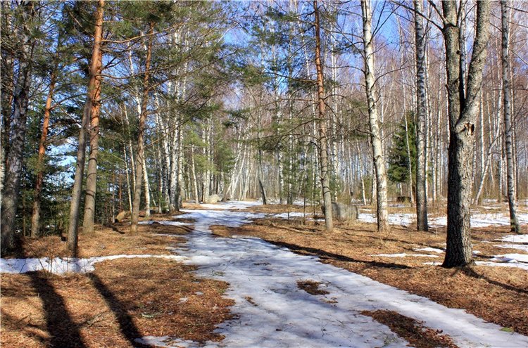 Весна в "Саду Камней" | Бэйбики Весна в "Саду Камней" — Куклы Meadow dolls (Медовушки): BJD (БЖД)