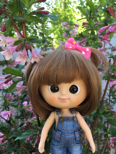 Поездка на дачу с Mui-chan, Migliorati и Sonny angel