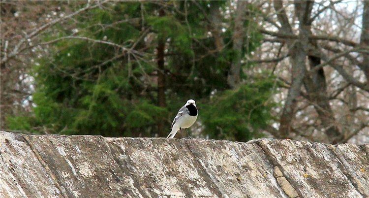 Усадьба Чукавино, Тверская область