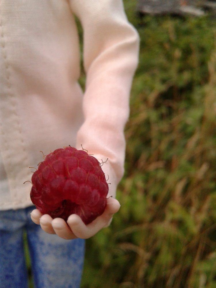 Кто же там, в малиннике — Куклы и тела Obitsu (Обитсу): 1/6 (фото 8)