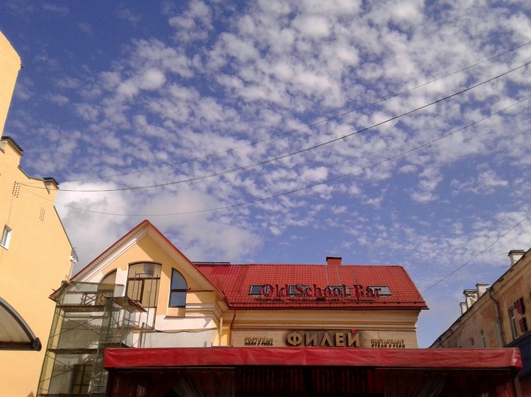 Последний месяц лета. Мой Псков. Аурика