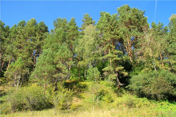 Старицкая Швейцария. Старицкие пещеры, д. Толпино, заключительная часть