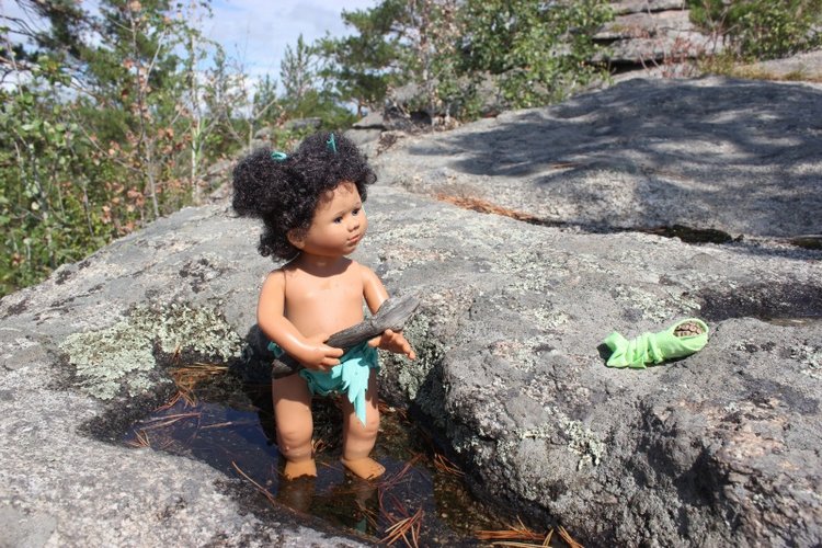 Базовичок обыкновенный. Дикий, но симпатичный | Бэйбики Базовичок обыкновенный. Дикий, но симпатичный