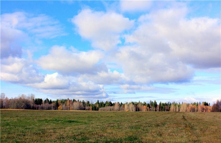 Ромашковый октябрь. Zwergnase Mischa