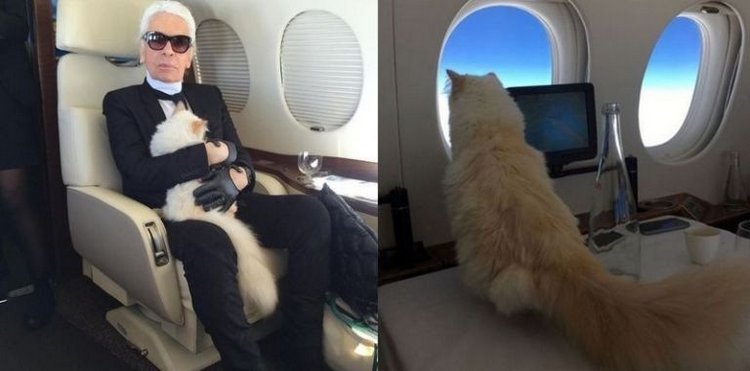 Скончался Карл Лагерфельд: дизайнер, ставший легендой еще при жизни