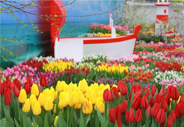 Тюльпановый Рай, продолжение. Выставка тюльпанов в Твери. Mini Layla elf Sunkissed skin от Kaye Wiggs