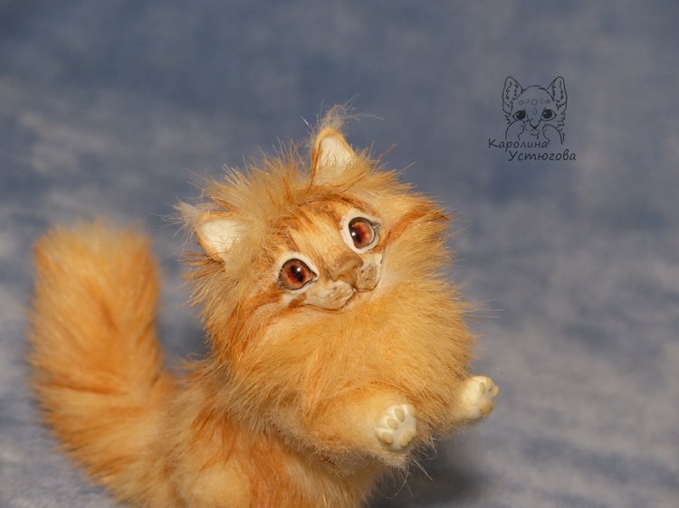 Мейн-ку́н, миниатюра. Рыженький