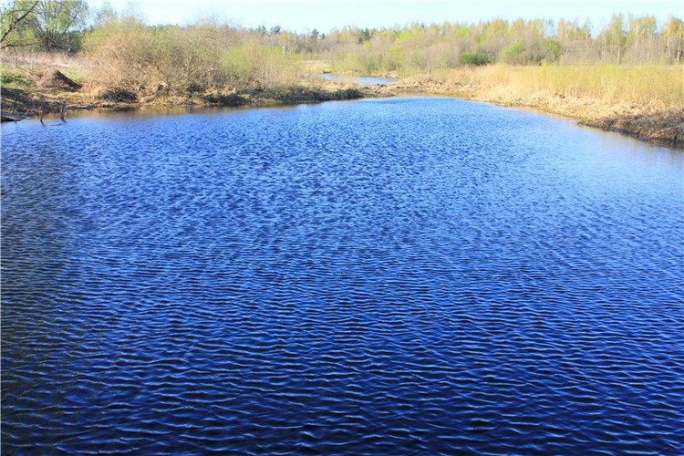 Джиджи на Орше. BJD Gigi от Meadow Dolls