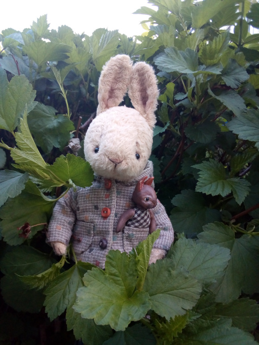 Майский зайчик, или вечерний променанд