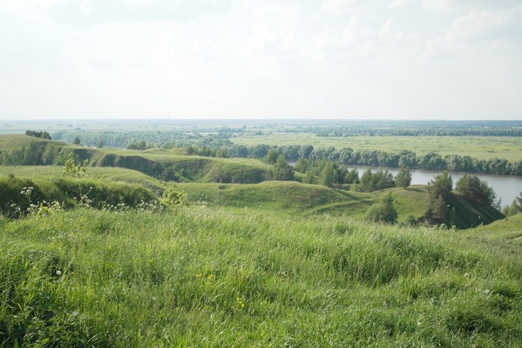 Есенинские тропинки — Куклы Kidz'n'Cats (Соня Хартман): шарнирные 46 см (фото 4)