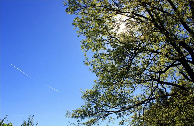 Ландыши - Светлого мая привет