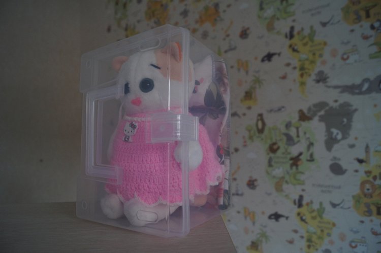 Как Агаша кошечку шила — Другие хобби и увлечения: сад