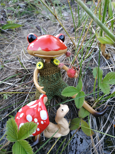 Wonderfrog. Красота в простоте