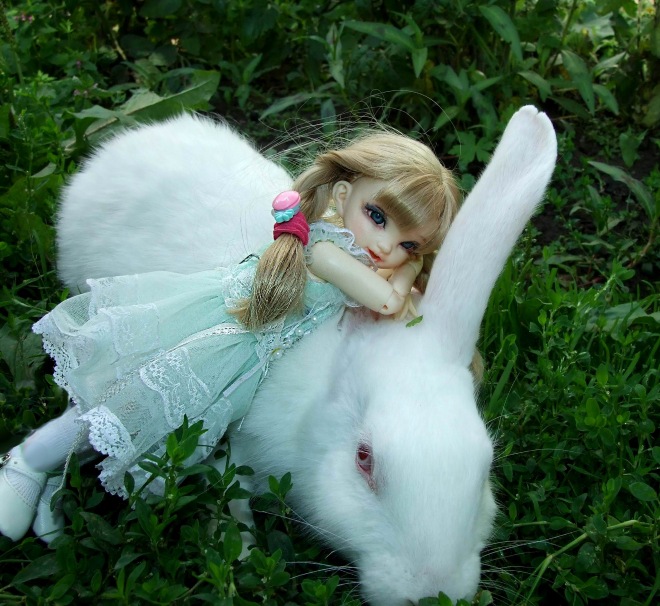 Кролики превращаются... превращаются... А котик улыбается)