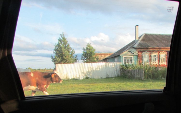 Путешествие в Нижегородскую область - часть 2 - Размещение в деревушке и прогулка по окресностям (фото 3)