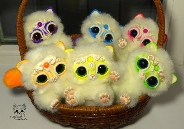 Королевские волшебные коты, породы: Мирис. В кадре и за кадром. Процесс (фото 5)